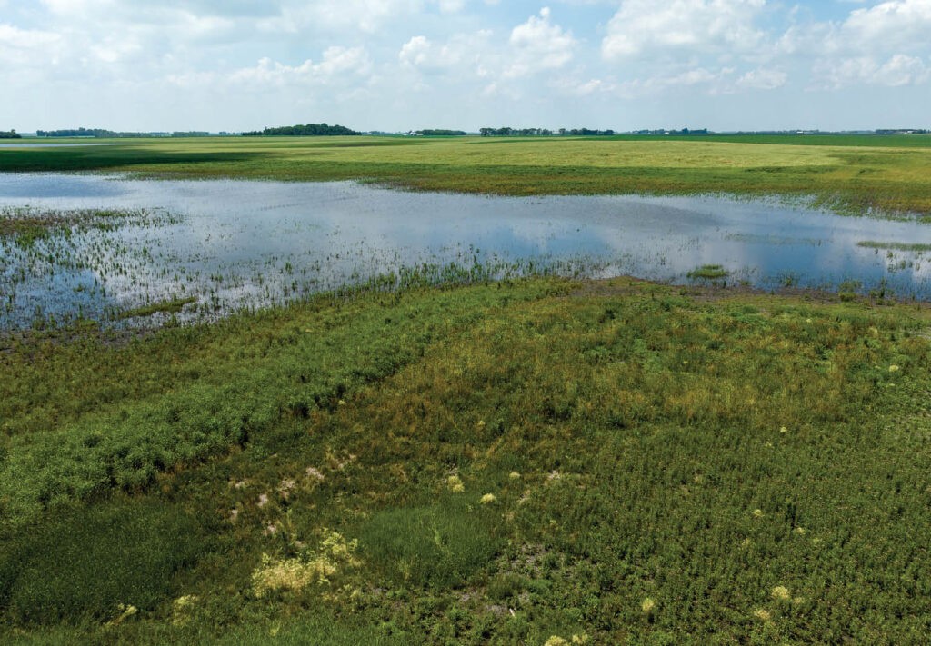 natural resources wetland