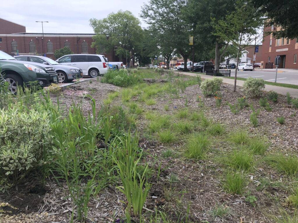 landscape bed