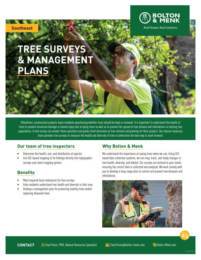 A promotional flyer for Bolton & Menk's SE tree surveys and management plans. It features images of two individuals inspecting trees—one using a tool and another using a tablet. The flyer emphasizes the importance of assessing tree health to prevent damage and disease, outlines services offered by certified tree inspectors, and lists benefits such as ordinance compliance and long-term planning. Contact information for a natural resource specialist is included at the bottom.