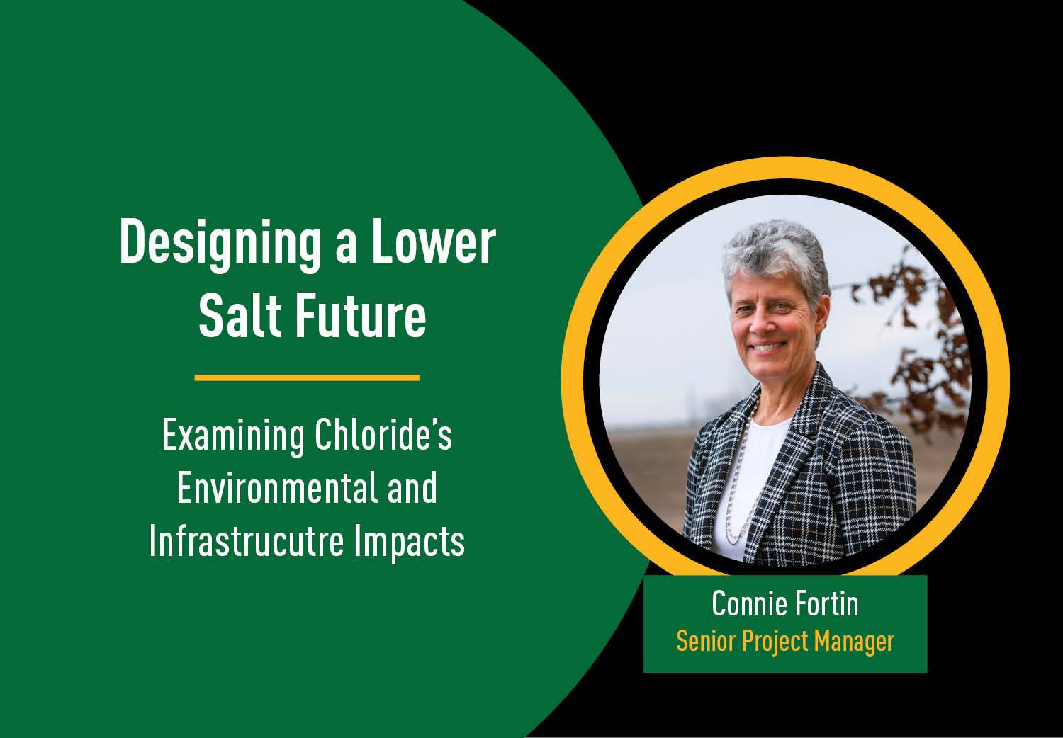 Designing a Lower Salt Future: Examining Chloride’s Environmental and Infrastructure Impacts