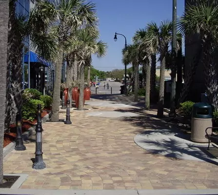 A walkway lined with tall palm trees leads to a street. Decorative red urns are placed along the path. Buildings with glass windows are on the left, and street lamps line the pathway. Bright sunlight casts shadows on the pavement.