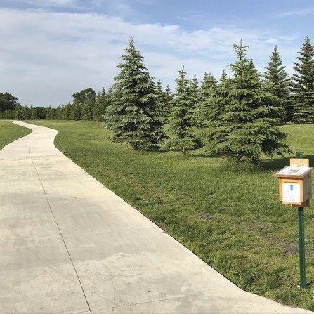Bike path surrounded by evergreen trees, with a suggestion box for feedback