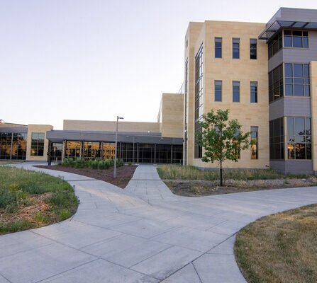 Large building with sandstone features, with a brick path, and diverse greenery of grasses, shrubs, and plants