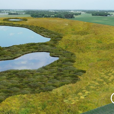 Sibley Meadows Wetland Bank, Sibley County, Minnesota