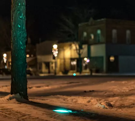 Snow-covered bare tree at night with faintly lit building in the background