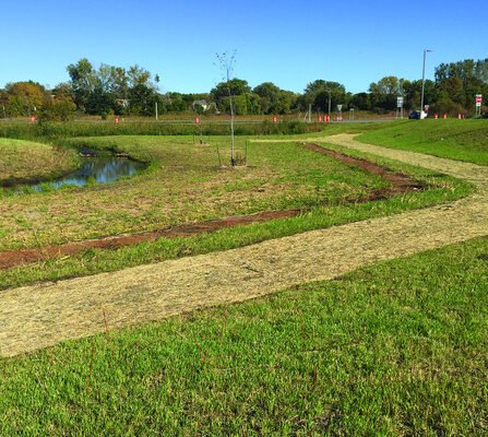 Strategically positioned grasses and trees along a creek's edge