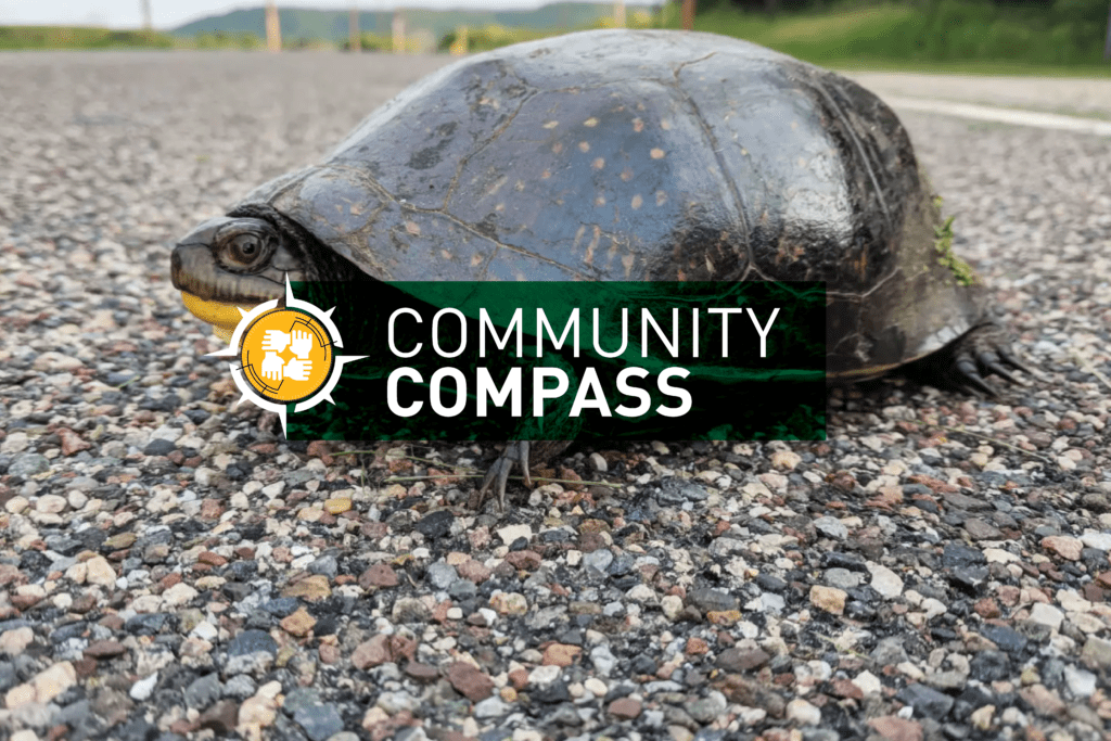 Community Compass CSAH 32 Wildlife Crossings with Turtle