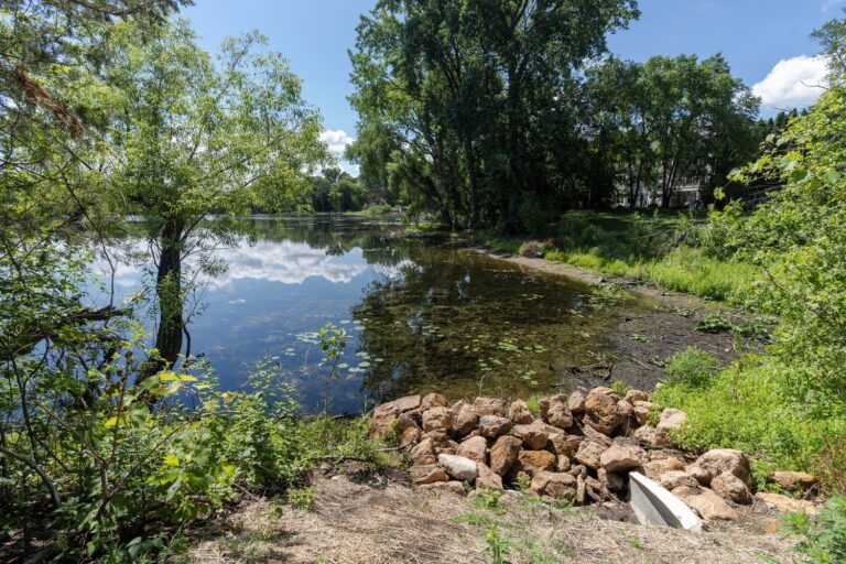 A peaceful lakeside scene with clear water reflecting the blue sky and surrounding greenery. Trees, bushes, and rocks line the shore, with a small concrete structure visible in the foreground.