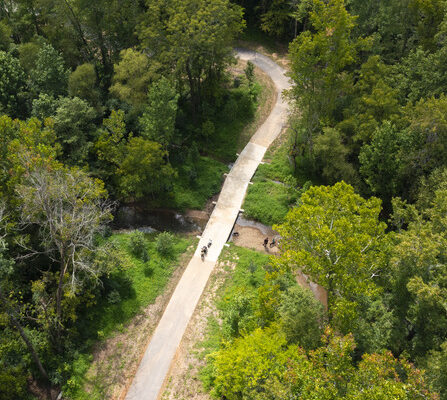 A trail through a forest