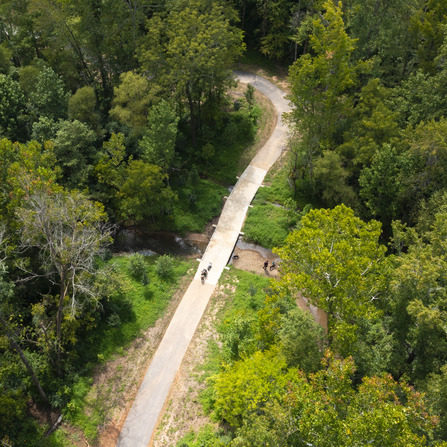 A trail through a forest