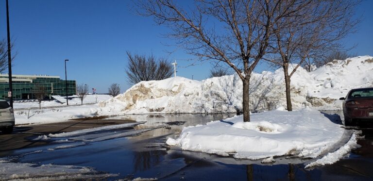 A parking lot with large piles of snow, melting onto wet pavement—an example where effective chloride management helps protect nearby leafless trees standing under a clear blue sky. A few parked cars are visible on both sides.