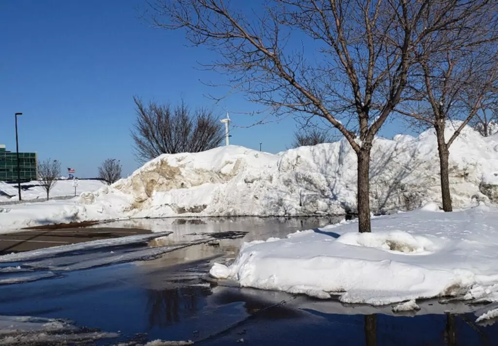 A large pile of snow sits near leafless trees and a puddle in a parking lot, with reflections on the wet ground under a clear blue sky on a sunny winter day.