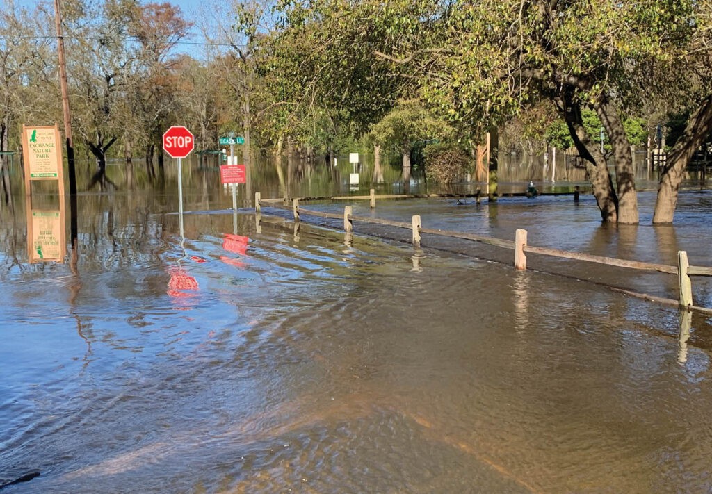 Floodwaters cover a roadway, submerging a stop sign, street signs, and part of a wooden fence, with trees and greenery partially underwater in the background.