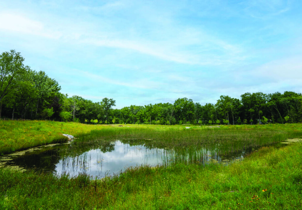 A small pond surrounded by green grass and tall trees under a partly cloudy blue sky, with the water reflecting the sky and trees.