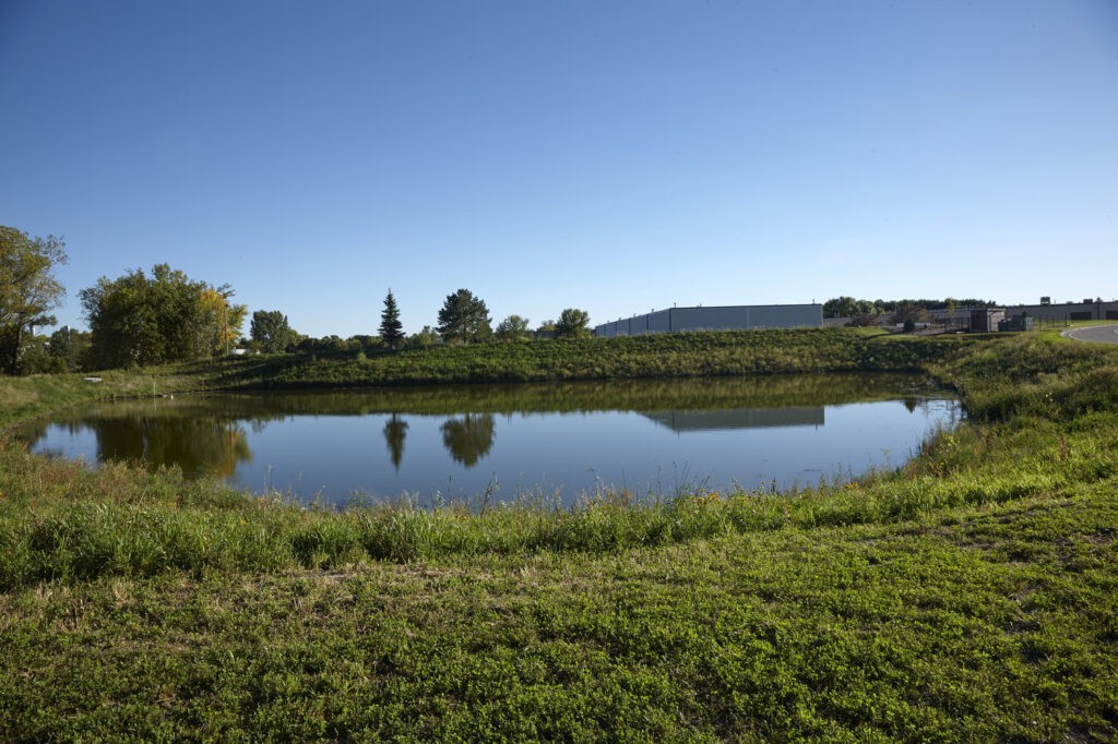 A small pond surrounded by green grass and trees under a clear blue sky, with buildings visible in the distance.