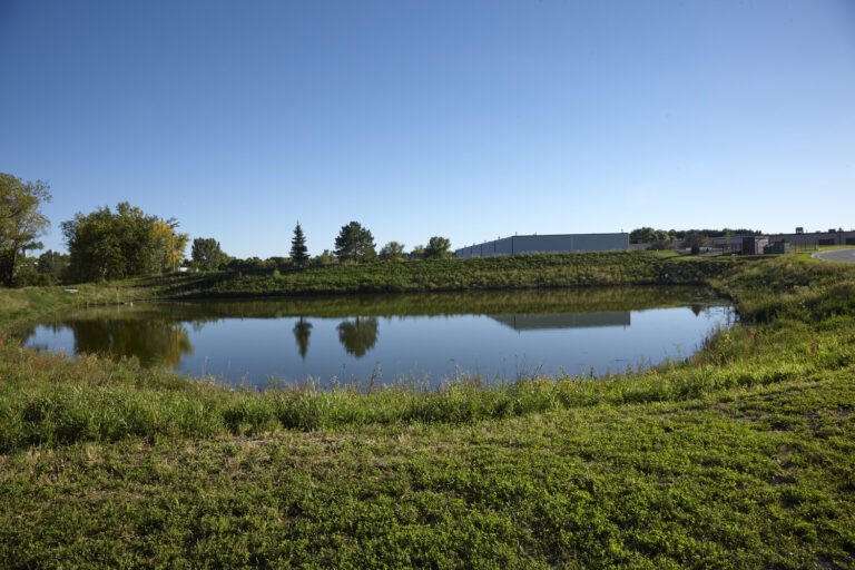 A small pond surrounded by green grass and trees under a clear blue sky, with buildings visible in the distance.