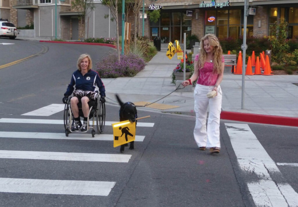 A woman in a wheelchair crosses a street at a crosswalk, accompanied by another woman walking a black guide dog holding a yellow “service animal” sign in its mouth. Orange traffic cones are visible on the sidewalk behind them.