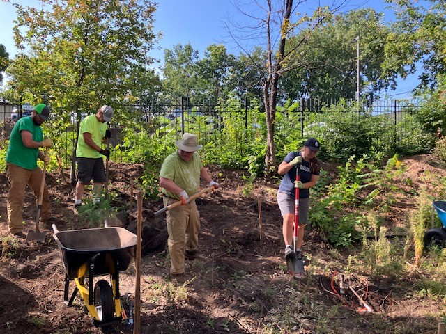 Four people work outdoors on a hillside, digging and gardening with shovels among trees and plants. Empowering communities, they nurture the land together under the sun, with tools and a wheelbarrow nearby amid vibrant green foliage.