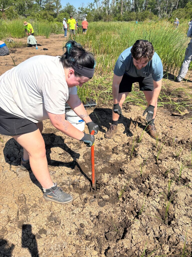 Two people wearing gloves use a long tool to dig in dry, cracked soil, surrounded by young plants. Other volunteers work in the background, empowering communities together on a sunny day in a grassy, outdoor area.