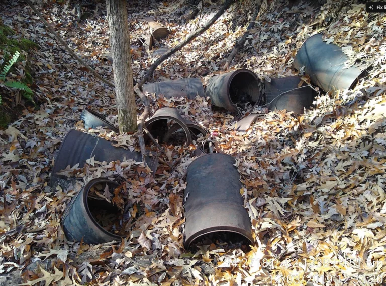 Several rusty, empty metal barrels lie scattered on the ground among dry fallen leaves and bare branches in a wooded area. Sunlight filters through the trees, casting shadows on the scene.