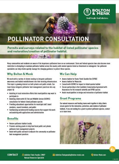 A flyer from Bolton & Menk titled "Pollinator Consultation." It features information about permits and surveys for habitats of listed pollinator species and efforts to restore or create pollinator habitats. The flyer outlines reasons to choose Bolton & Menk, including their expertise in integrating pollinator practices into infrastructure projects, helping with compliance, and offering educational opportunities.