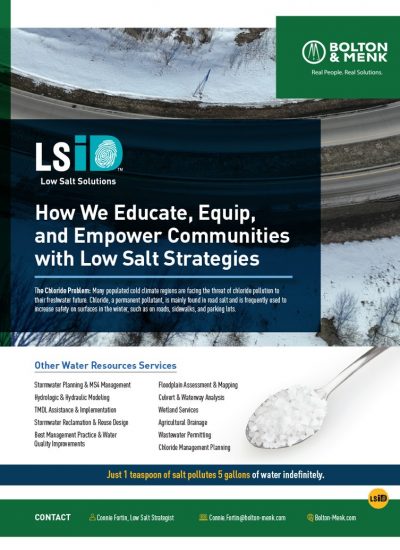 Cover image of the Low Salt Strategies sales tool