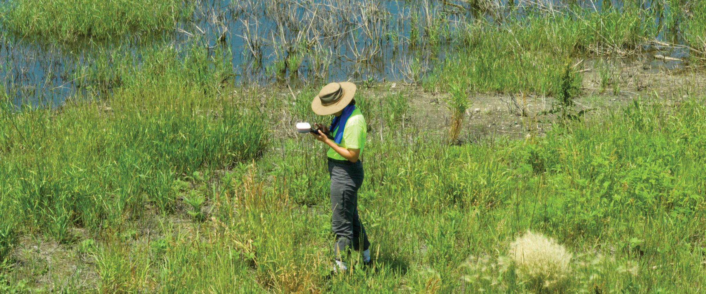 Field technician in wetland